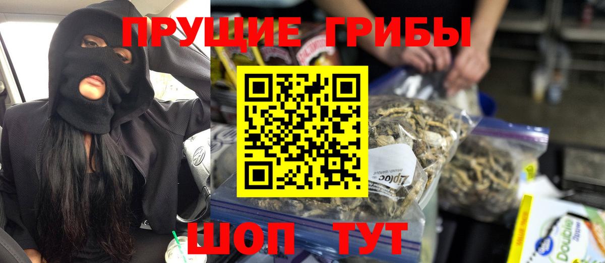 Псилоцибиновые грибы MAGIC MUSHROOMS Гусиноозёрск