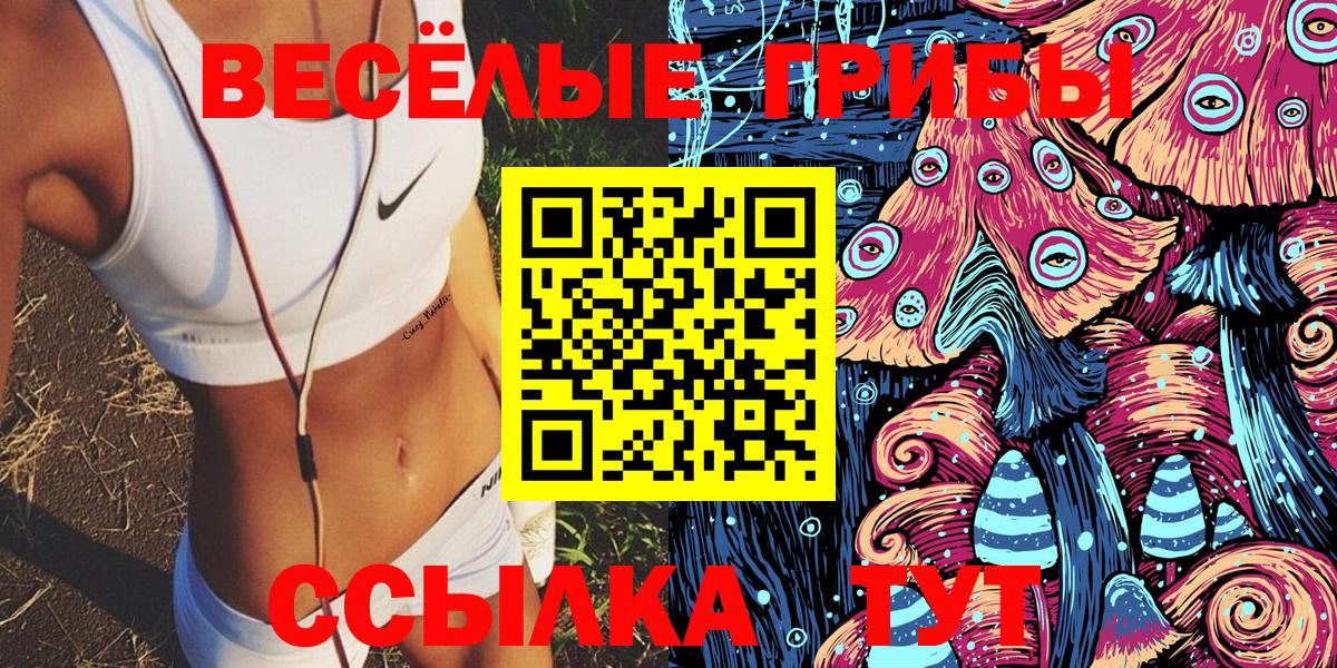 Гусиноозёрск  Псилоцибиновые грибы Psilocybine cubensis  Псилоцибиновые грибы мухоморы  Вход с VPN 