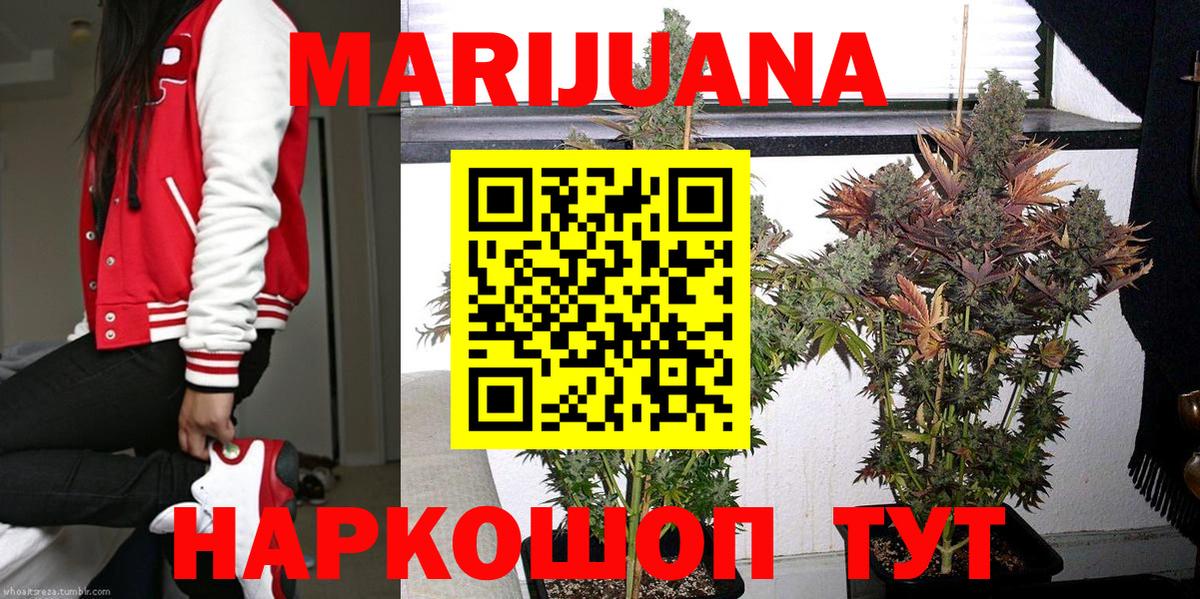 Каннабис план  МАРИХУАНА White Widow  Гусиноозёрск  Вход с VPN  Канабис Ganja 